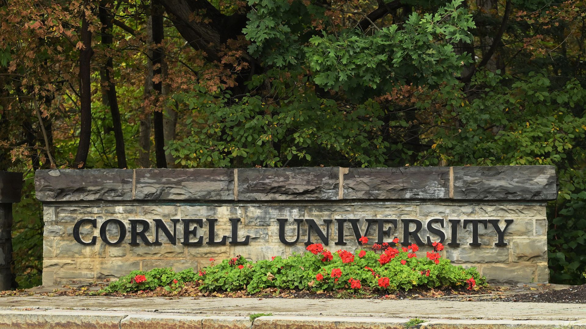 ‘A movement for true change’: Cornell University professor speaks out